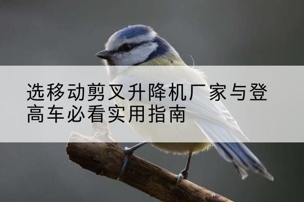 德江电动升降机厂家-选移动剪叉升降机厂家与登高车必看实用指南