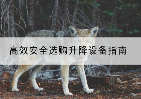 德江升降货梯厂家推荐-*安全选购升降设备指南