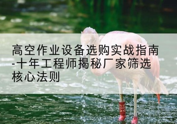 德江剪叉式升降机厂家-高空作业设备选购实战指南-十年工程师揭秘厂家筛选核心法则